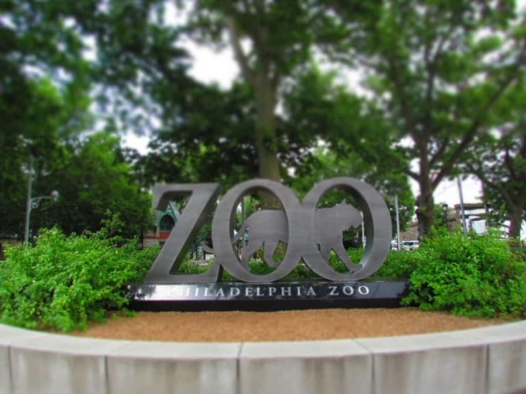 entrance 1 768x575