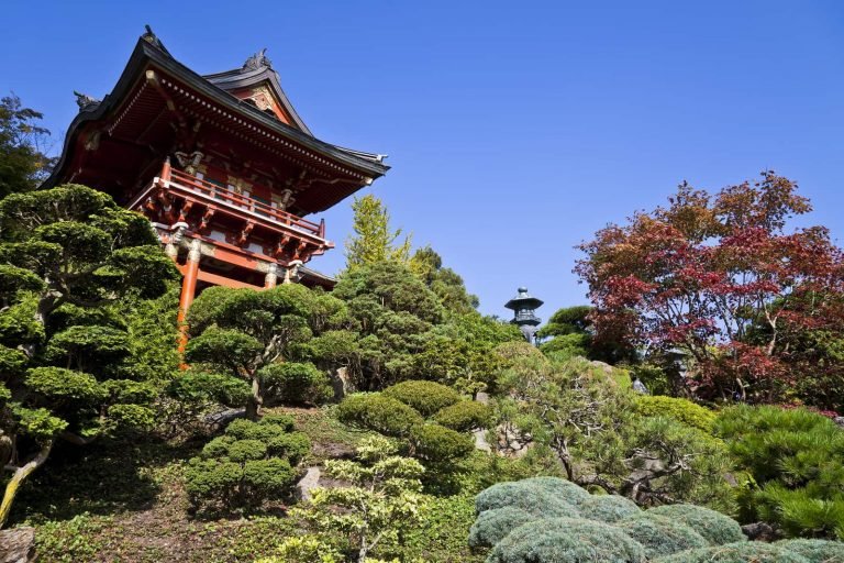 golden gate park4 768x512